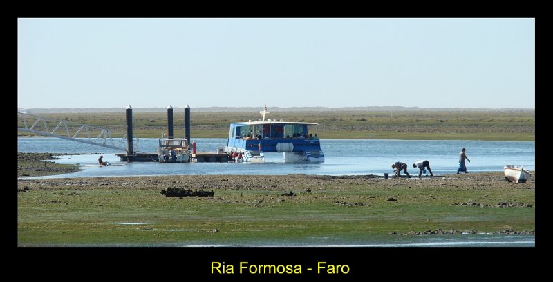 Ria Formosa - Faro