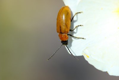 g5/99/524399/3/101235611.dcTCZP23.jpg