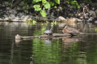IMG_3404.JPG