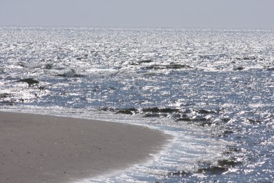 IMG_8021.JPG