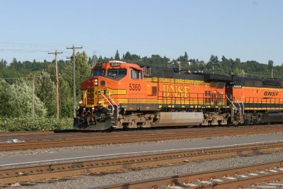 IMG_9331.JPG