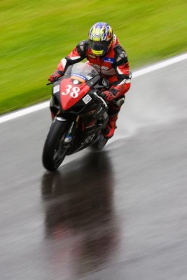 IMG_11279.jpg