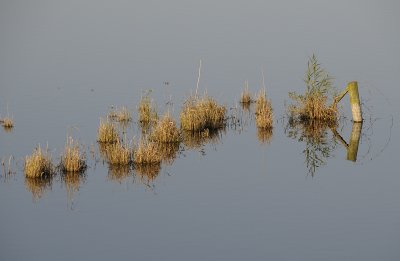g5/99/645499/3/104342586.j1sJYpPs.jpg
