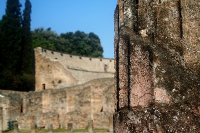 pompeii09069.jpg