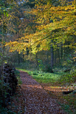 Manningtree Reservoir - Nov 09