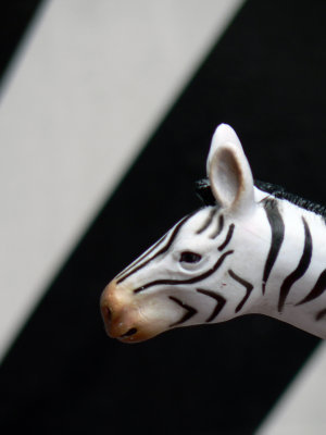 London Zebra