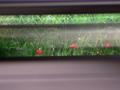 Capturing Movement - June 08