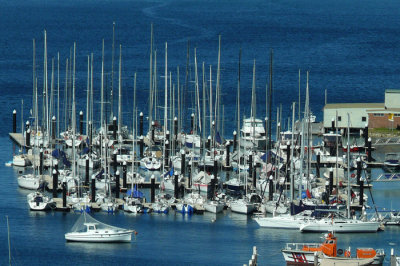 Yachts at Spit.jpg