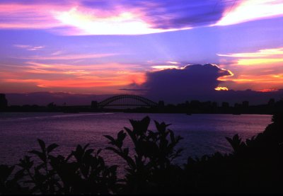 Harbour Sunset.jpg