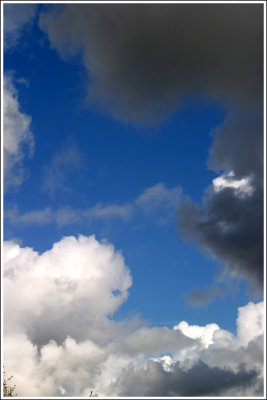 g5/99/853999/3/100786191.FvWb4SvC.jpg