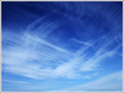 g5/99/853999/3/100787070.DVAsotnF.jpg