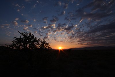 IMG_2550.JPG