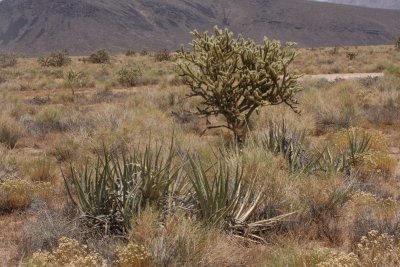 IMG_2695.JPG