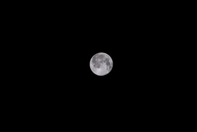 110209_0127-NX