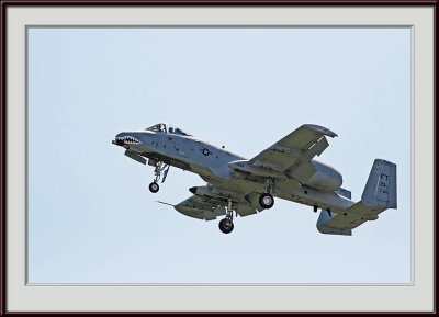 IMG_9315p.jpg