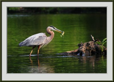 IMG_4992ps.jpg