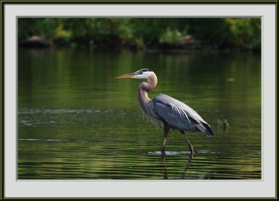 IMG_5006ps.jpg