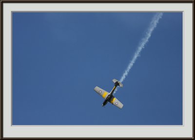 IMG_1335.jpg