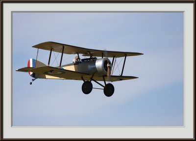 IMG_1772.jpg
