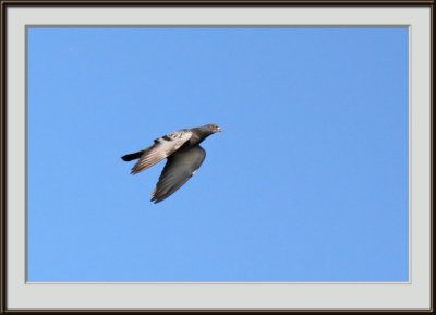 IMG_4573p_nfi.jpg