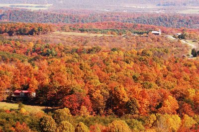 DSC_6631ar.jpg