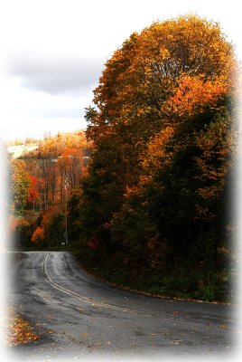 DSC_6315ar.jpg