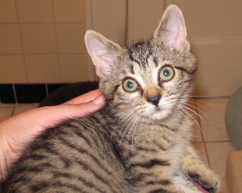 What big eyes I have!