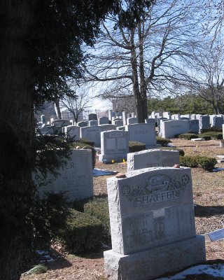 Gravesite from Third Avenue