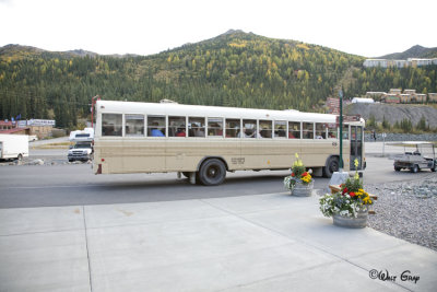 Denali Park Bus