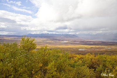 Valley