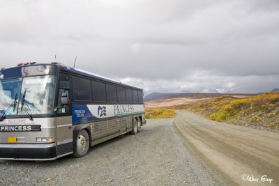 Coach on Road to Copper River