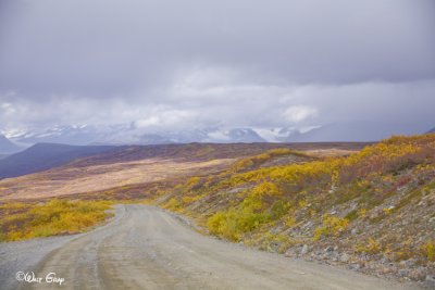 Out of Valley