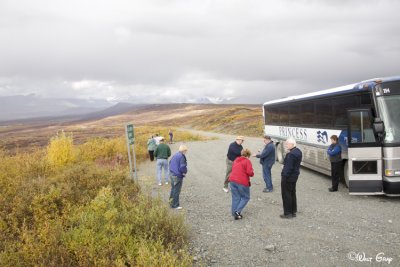 Coach and Group