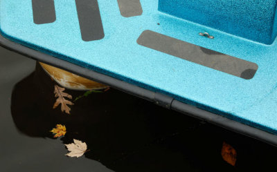 boat and leaves