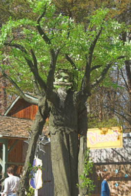 talking tree