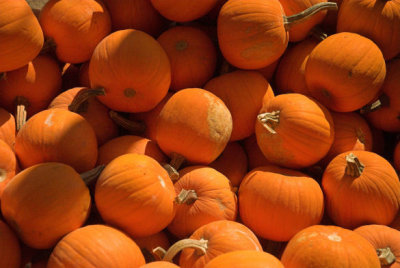 pumpkins