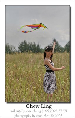 Kite & Flower 08