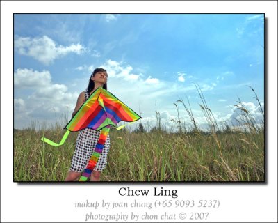 Kite & Flower 16