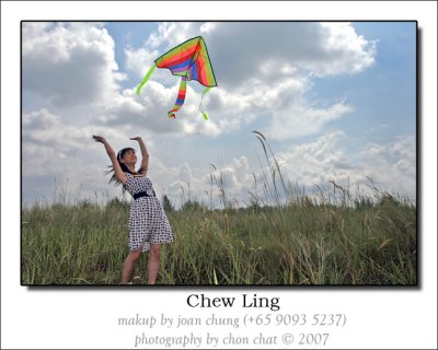 Kite & Flower 22
