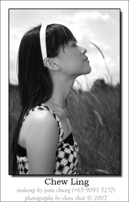 Kite & Flower 23