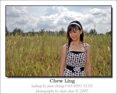 Kite & Flower 29