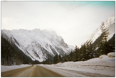 kicking_horse