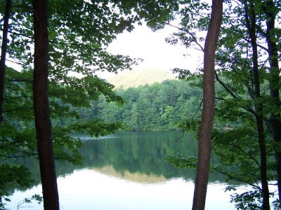 Unicoi