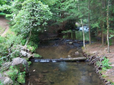 100_0405.JPG