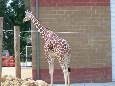 100_0476.JPG