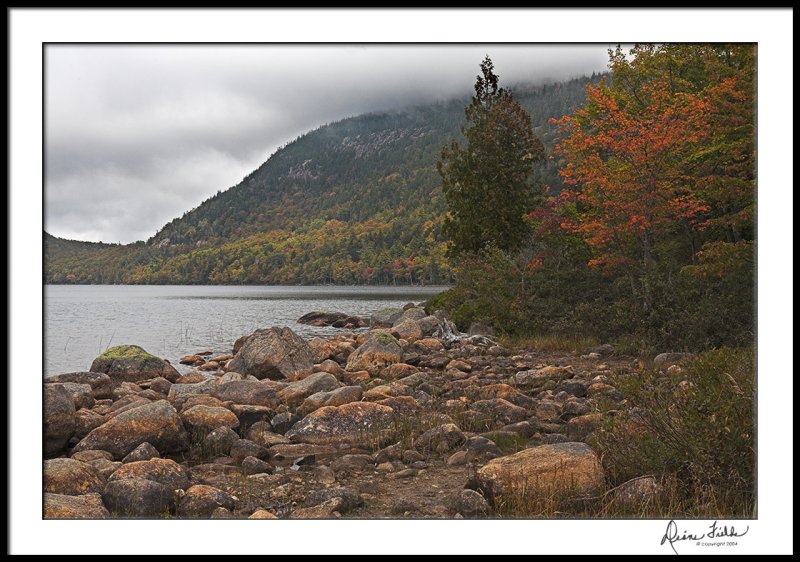 Fog on the Mountain