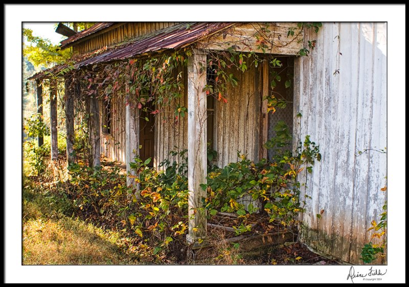 Fall Porch