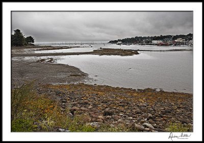 Belfast Harbor at Low Tide