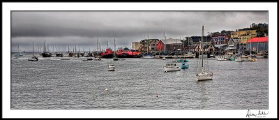 Rainy Day in Belfast Harbor