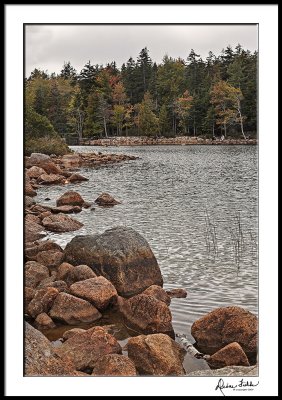 Shore of Jordan Lake